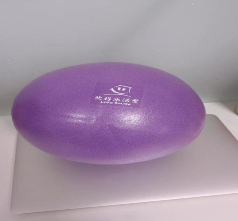 普拉提球（老年人體適能訓(xùn)練輔具）-